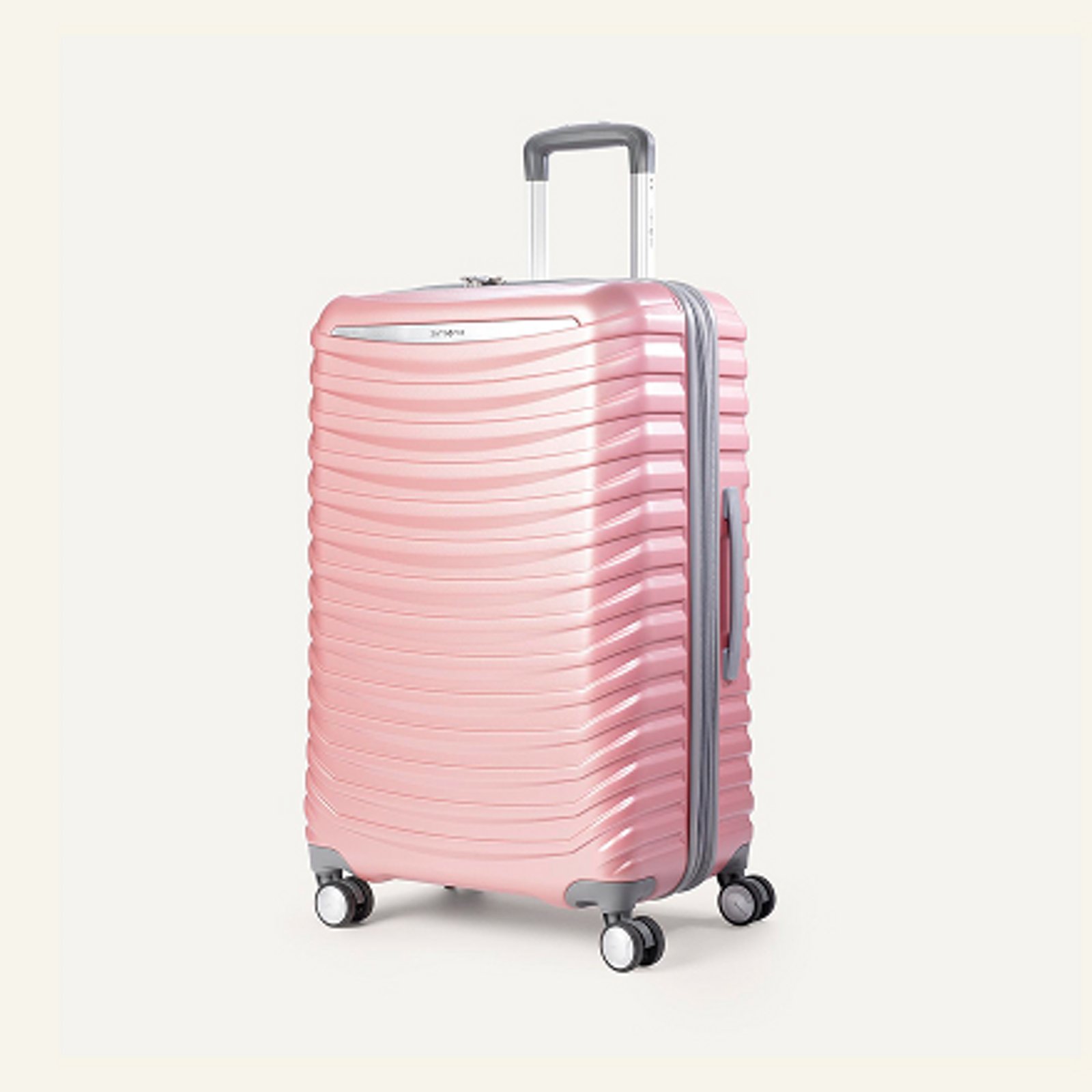 Checked Luggage